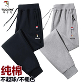 子男长裤 啄木鸟 春秋纯棉弹力束脚松紧卫裤 直筒运动裤 休闲裤 男士