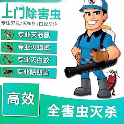 上海上门除虫灭鼠白蚁除蟑螂灭蚂蜂窝拜耳技术专业除四害虫害防治