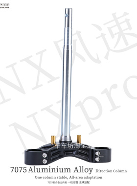 PTENG方向柱NX风速NXpro电动车电摩pt三星柱3°倾角43/46芯200MM