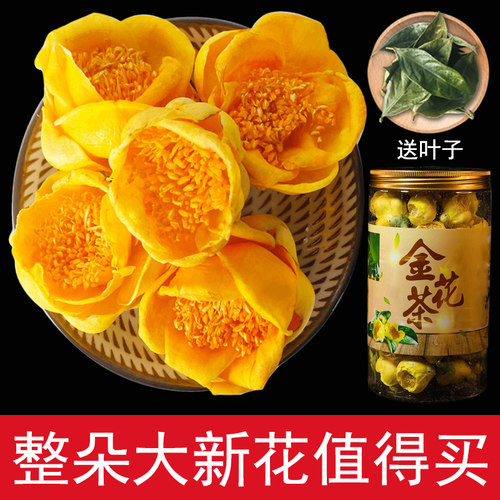 金花茶叶广西防城港市十万大山