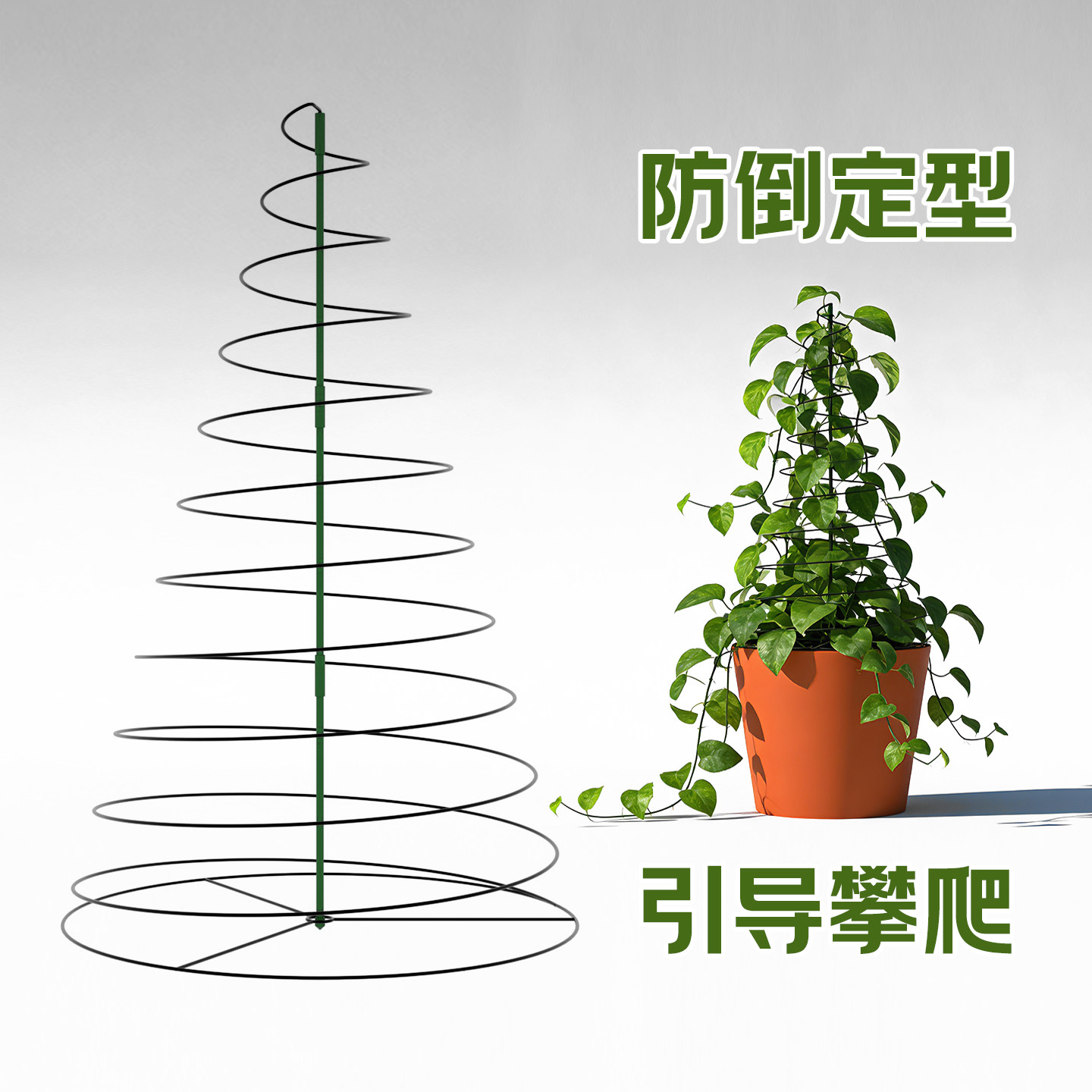植物支撑螺旋花架可伸缩蔓藤植物爬藤架绿萝支撑杆室外攀爬固定架