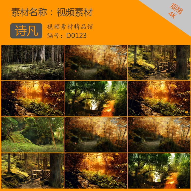 唯美动态自然景物景观美景森林树林小路落叶LED背景高清视频素材