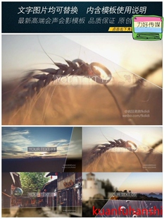 会声会影模板D174清新唯美线条快速切换 温馨唯美金色相册模板