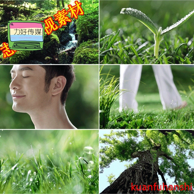 绿色植物呼吸清新鲜空气环保大树草地流水人与自然 高清视频素材