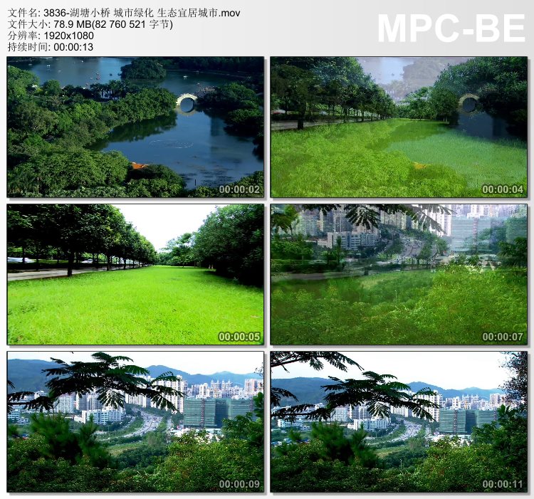 湖塘小桥 城市绿化 生态宜居城市 高清视频素材