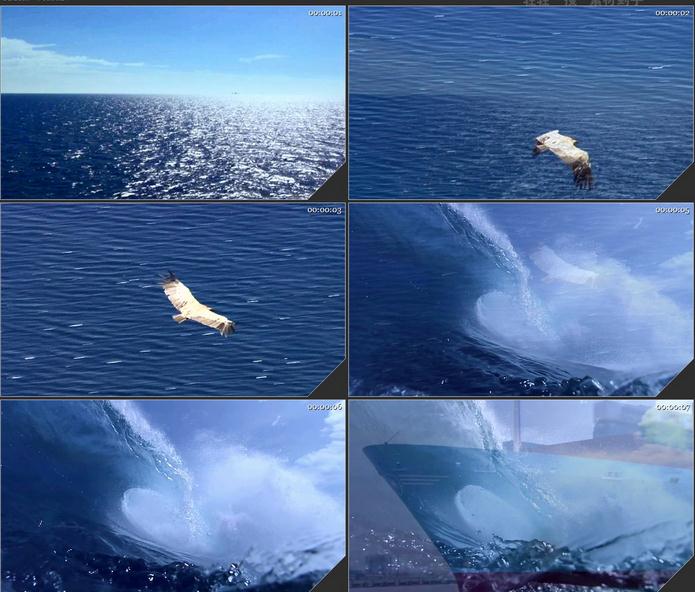 大船乘风破浪海浪大海海鸥飞翔勇往直前高清实拍视频素材