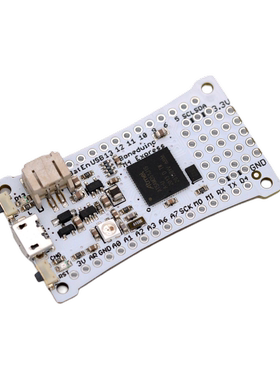 ATSAMD51 M4 Express Adafruit Feather兼容 CircuitPython