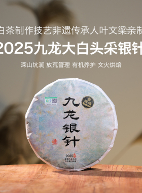 御先堂【2025年九龙白毫银针饼】叶文梁亲制头采有机白毫银针