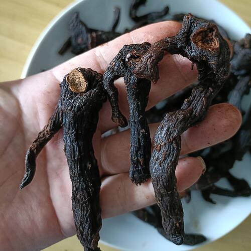太行山纯野生鸡头黄精  ，不是野生支持仅退款