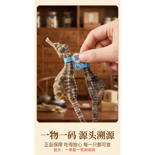 正品溯源码大海马配对煲汤泡酒