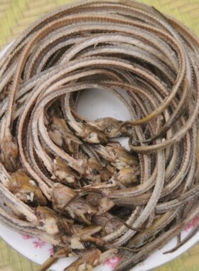 新鲜活烫鳝鱼骨长熬汤3斤包邮