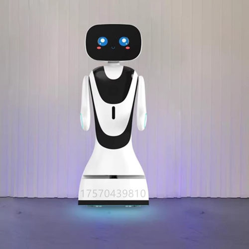 智能迎宾机器人小鱼迎宾互动导览讲解领位带路机械臂博物馆写字楼