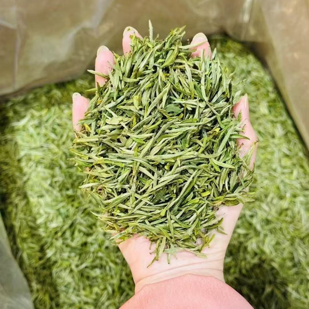 14明前头采绿茶金寨安徽茶叶豆香毫香高山荒野黄芽毛峰茶