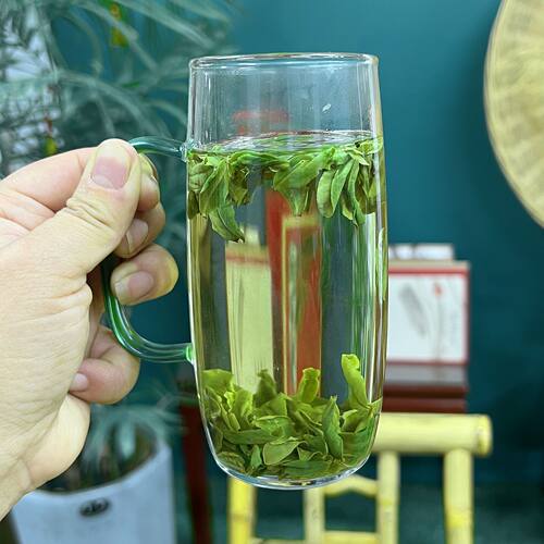 岩谷花香六安瓜片新茶头采