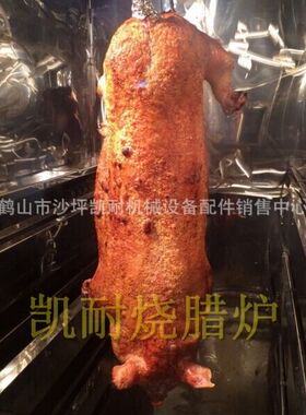 商用环保型凯耐多功能一体烧鸡炉