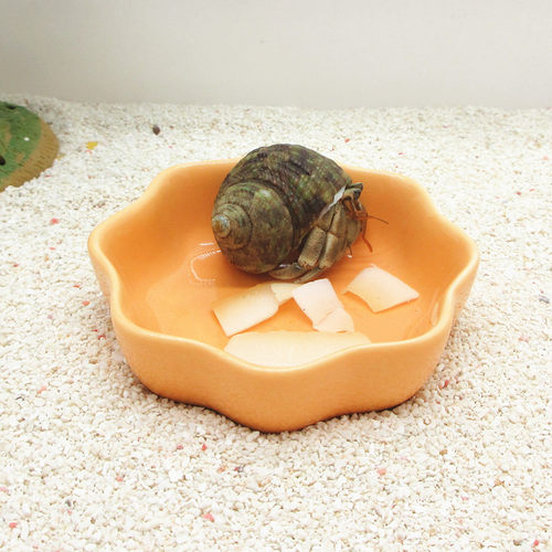 寄居蟹陶瓷水盆食物盆防污防潮