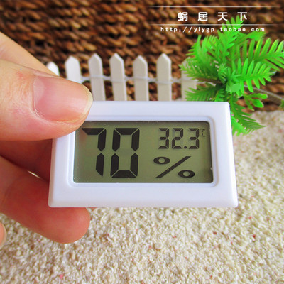 电子温湿度表寄居蟹日常寄居蟹