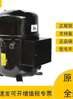 原装H2NG184DPEF H2NG244DREF H2NG294DPEF美国布里斯托压缩机204