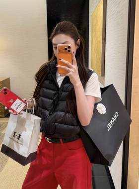 tingtings 国标90白鸭绒立领羽绒马甲女冬季叠穿保暖无袖面包外套