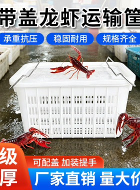 龙虾筐多功能水果蔬菜塑料周转筐