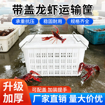 龙虾筐多功能水果蔬菜塑料周转筐