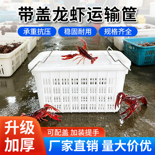 龙虾筐多功能水果蔬菜塑料周转筐
