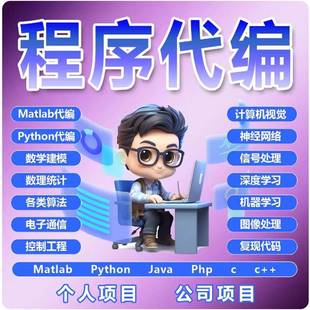 编写java代做matlab程序代编python代编程c 代码 代写web系统设计