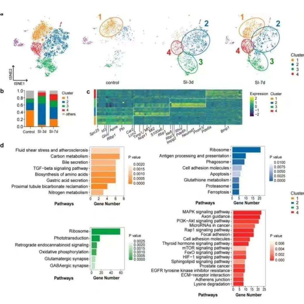 KM生存曲线Kaplan-Meier analysis meta R语言SPSS分析代做作绘图,商务/设计服务,2D/3D绘图,淘宝优惠券,粉丝福利购,淘宝优惠卷