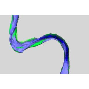 Mike21港口船舶溢油预测 | 水环境风险预测一级
