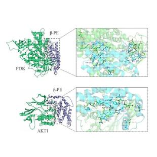 分子动力学模拟 DFT计算高斯 MS Gaussian Materials studio