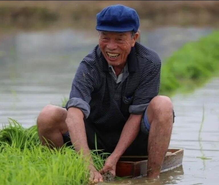 船凳子秧马神器运苗船座位小船插秧机手插秧散秧大田稻苗插秧船式