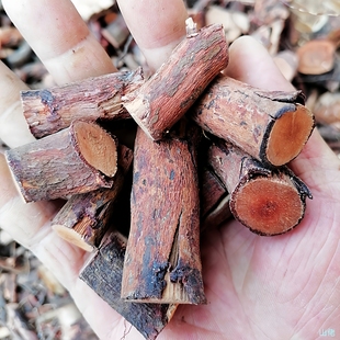 广东稔子根桃金娘根岗稔根乌当泥根稔子树根煲汤泡酒500g