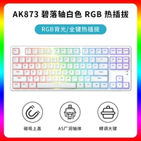 AK873 Bi Luo Axis White RGB Hot Plugure