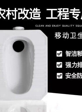八角陶瓷大便器集装房卫生间农村小户型改造蹲便器后排直通老款式