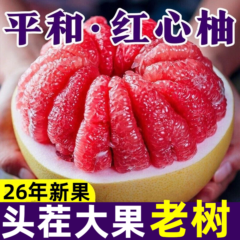 【精品树上熟】正宗平和红心柚子新鲜水果包邮整箱红柚红肉蜜柚