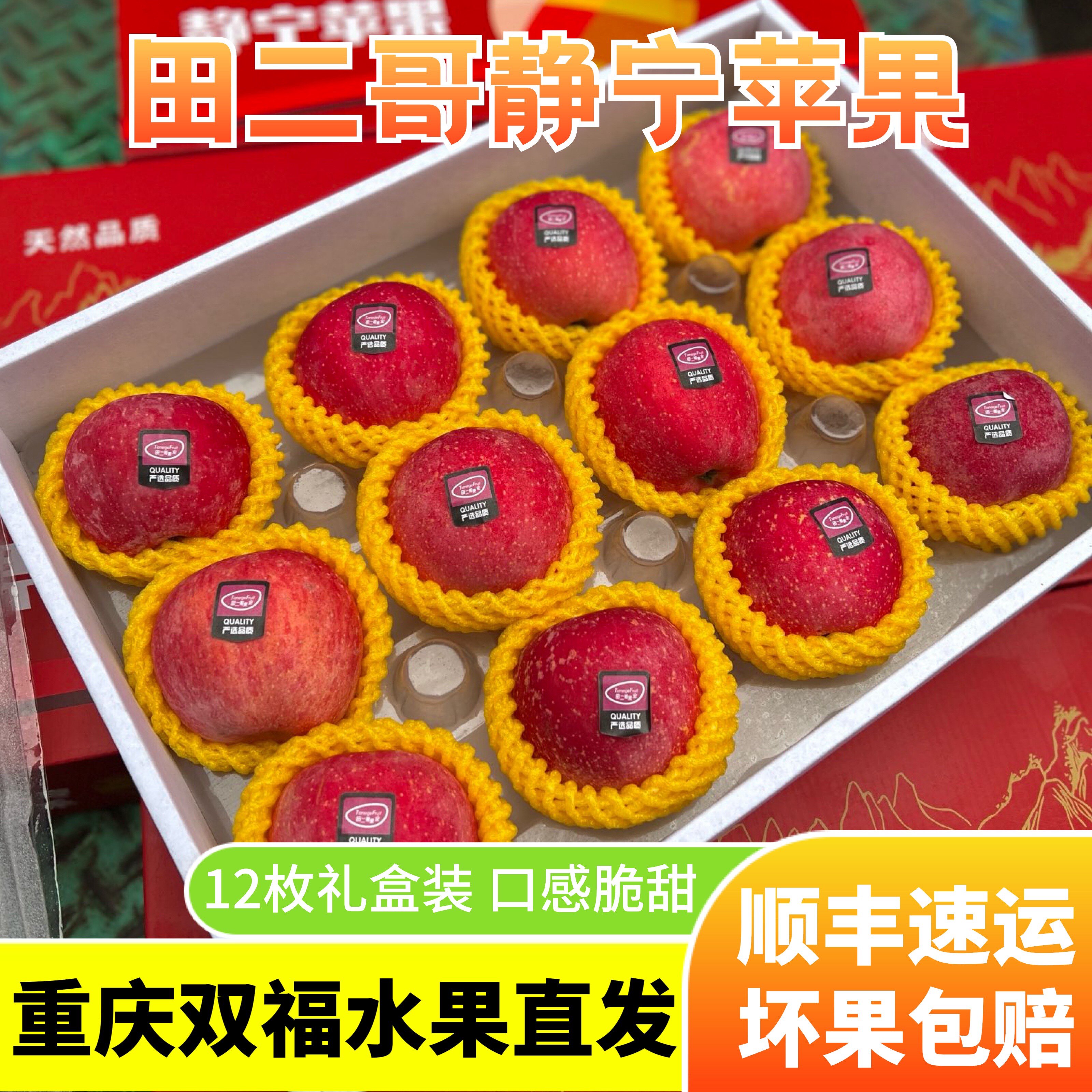 新店活动价丨田二哥甘肃静宁苹果12枚礼盒装净重约5-5.5斤双福