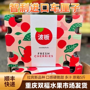 波板3J拉宾斯智利进口车厘子原箱5斤10斤礼盒装年货水果重庆双福