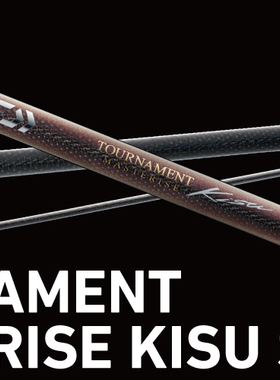 Daiwa TOURNAMENT MASTERISE KISU SMT 35号-405 远投竿抛竿