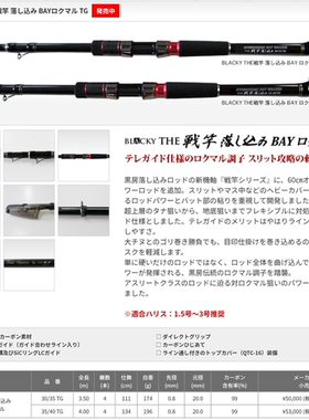 黒鯛工房 BLACKY THE戦竿 落し込み BAY ROKUMARU TG 前打竿
