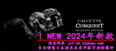 CQSHALLOWEDITION31HG鼓轮