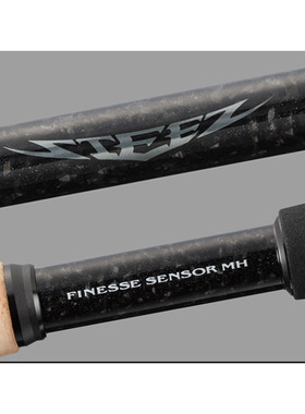 25新款日本达亿瓦Daiwa STEEZ（BAITCASTING MODEL）枪柄路亚竿