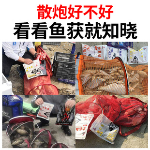 刘志强三体饵料散炮全能腥香黑坑鲫鱼野钓秋冬季窝料打窝料鱼饵