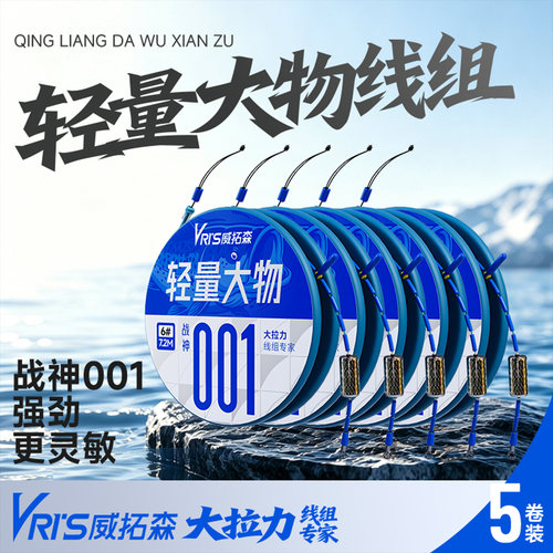 威拓森战神001轻量大物线组