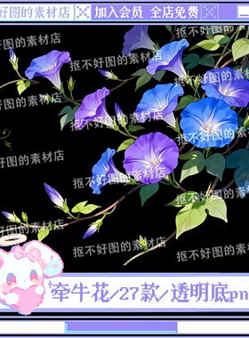 水彩牵牛花藤蔓花枝花朵装饰透明底png图片饭圈美工设计水印素材