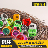 2025信鸽足环鸽子脚环2024足环鸽子记号环识别环标记脚环腿环定制