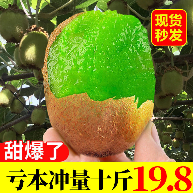 猕猴桃新鲜包邮弥猴桃绿心奇异果水果当季非徐香孕妇整箱带箱10斤|msdalam kategori daging perikanan/Buah-buahan segar dan sayur-sayuran/dimasak, buah-buahan segar, Kiwi/Kiwi - dari Buy2taobao.com untuk memberikan perkhidmatan ejen Taobao profesional membeli