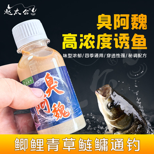 臭阿魏谜诱钓鱼少量供应鲢鳙添加剂鱼饵饵料窝料鲫鲤青草鱼饵通杀