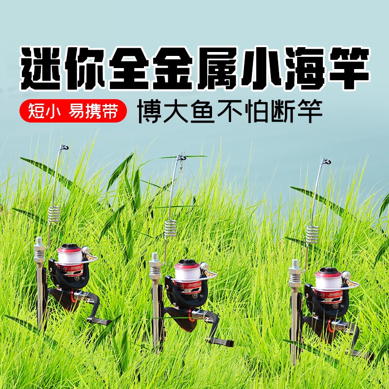 一体加厚全金属插地式钓竿迷你便携短节金属弹簧鱼竿海竿冰钓竿