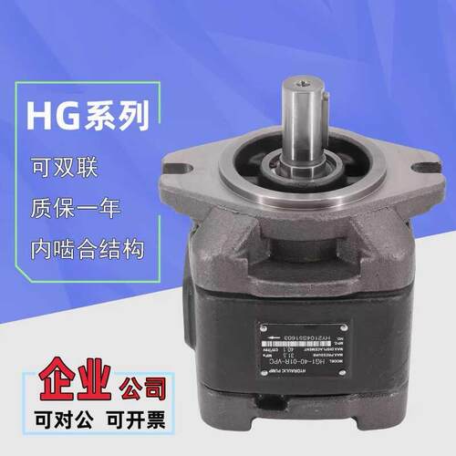 新款液压泵齿轮泵HG1/HG0/HG2-80/125-01R-VPC内啮合液压伺服包邮