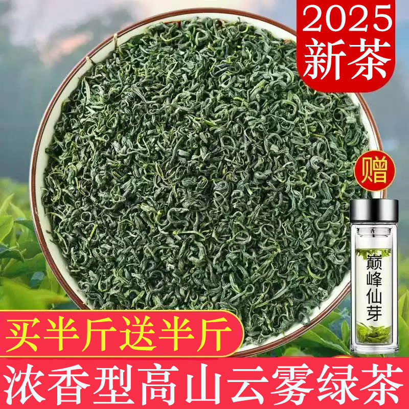 四川高山云雾绿茶2025新茶特级浓香明前毛尖茶散装茶叶罐装共500g
